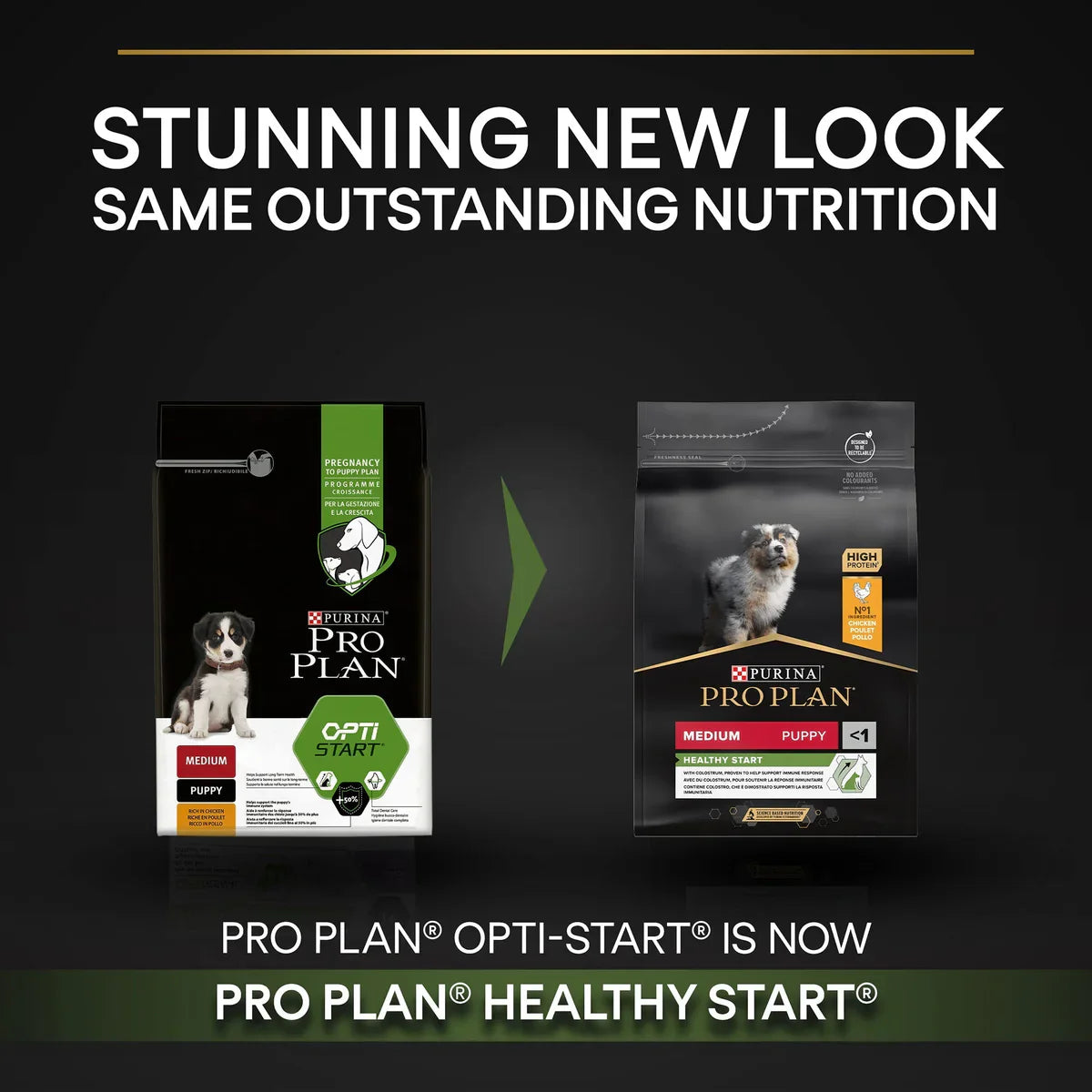 PURINA PRO PLAN Medium Puppy with OPTISTART Rich in Chicken Dry Food