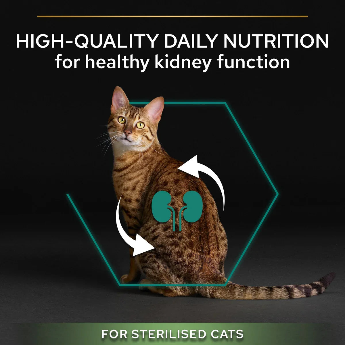 PURINA ® PRO PLAN ® للقطط المعقمة البالغة 1+ سنة غني بالديك الرومي - 400 جرام