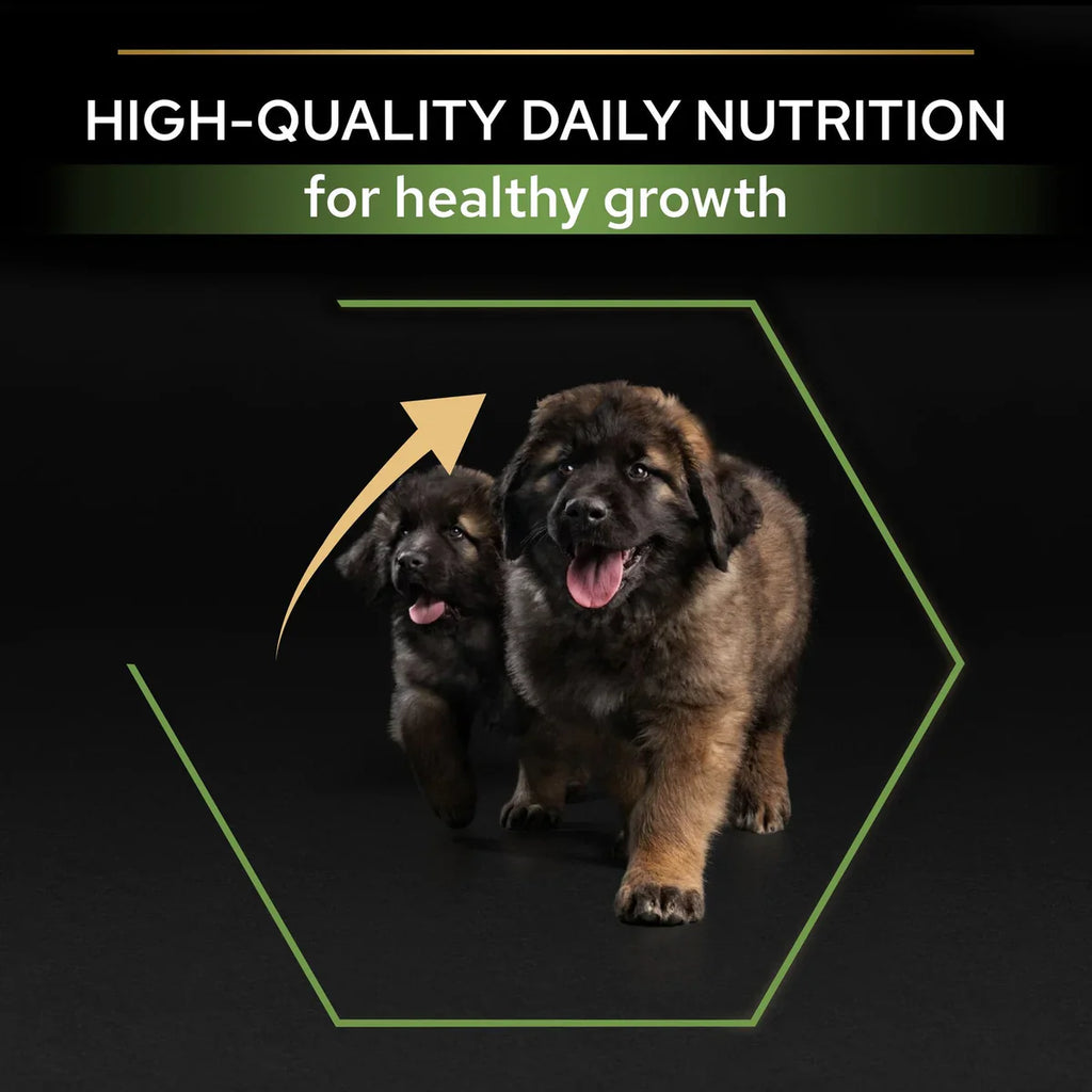 PURINA® PRO PLAN® Large Robust Puppy with OPTISTART® Rich in Chicken Dry Food