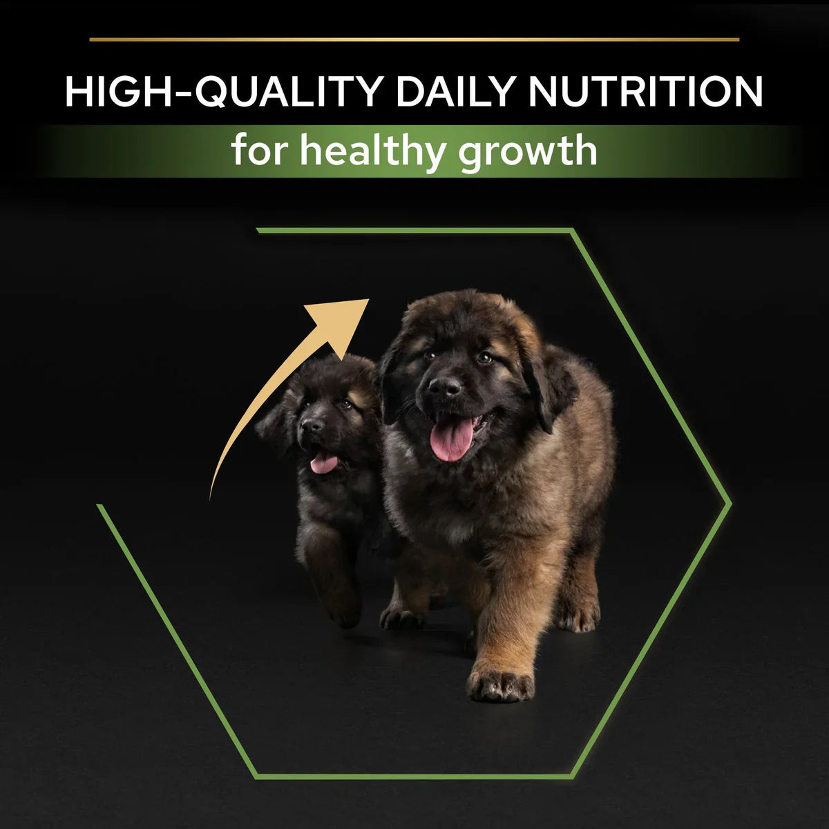 PURINA® PRO PLAN® Large Robust Puppy with OPTISTART® Rich in Chicken Dry Food
