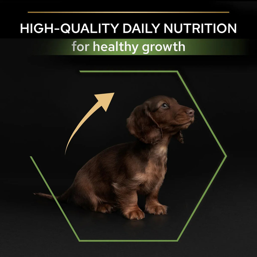 PURINA® Pro Plan® Small & Mini Puppy with OPTISTART®, Rich in Chicken Dry Dog Food - 3 KG