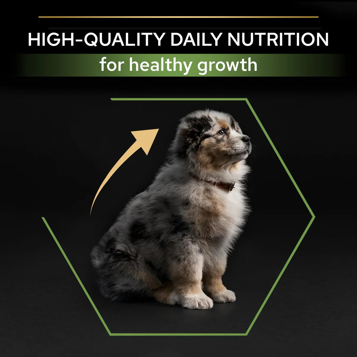 PURINA PRO PLAN Medium Puppy with OPTISTART Rich in Chicken Dry Food