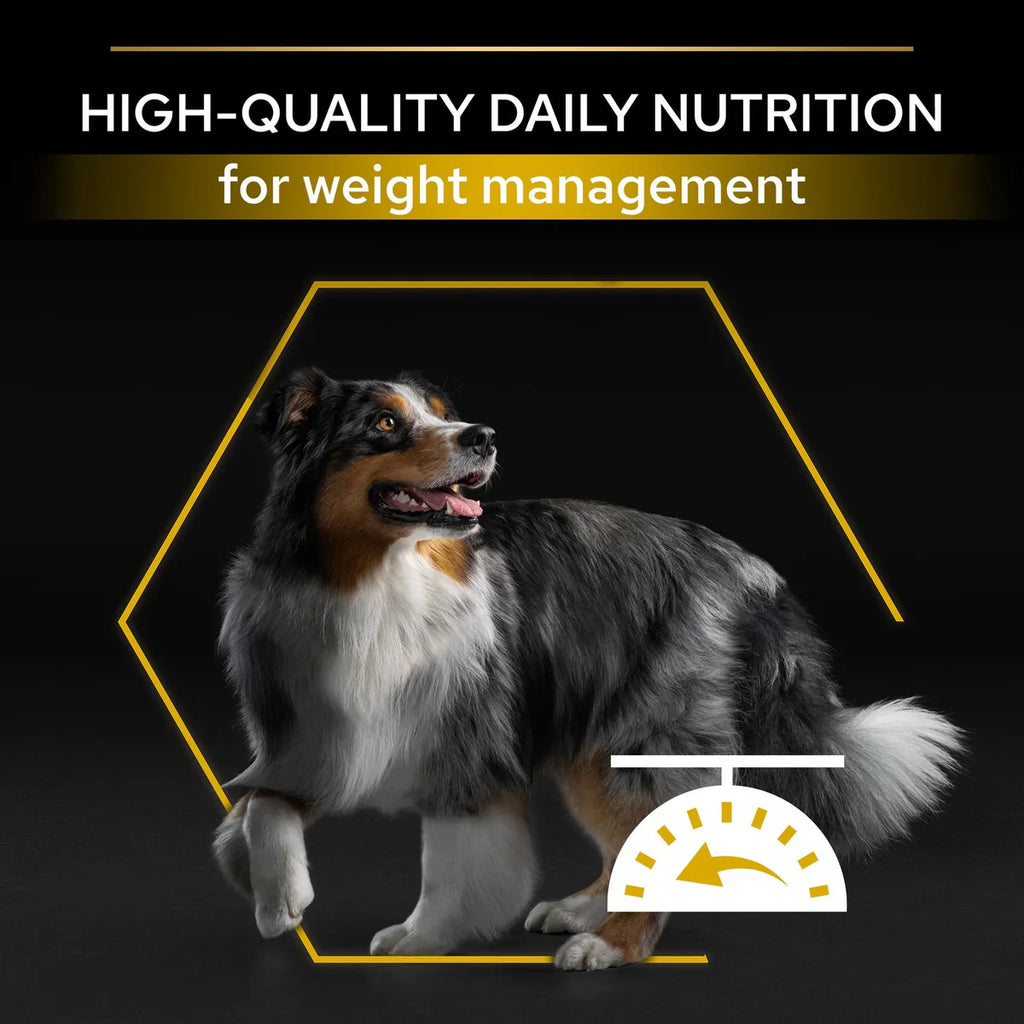 طعام بورينا برو بلان® للكلاب الجافة لجميع الأحجام البالغة قليلة الدسم/ المعقمة بـ OPTIWEIGHT® الغنية بالدجاج
