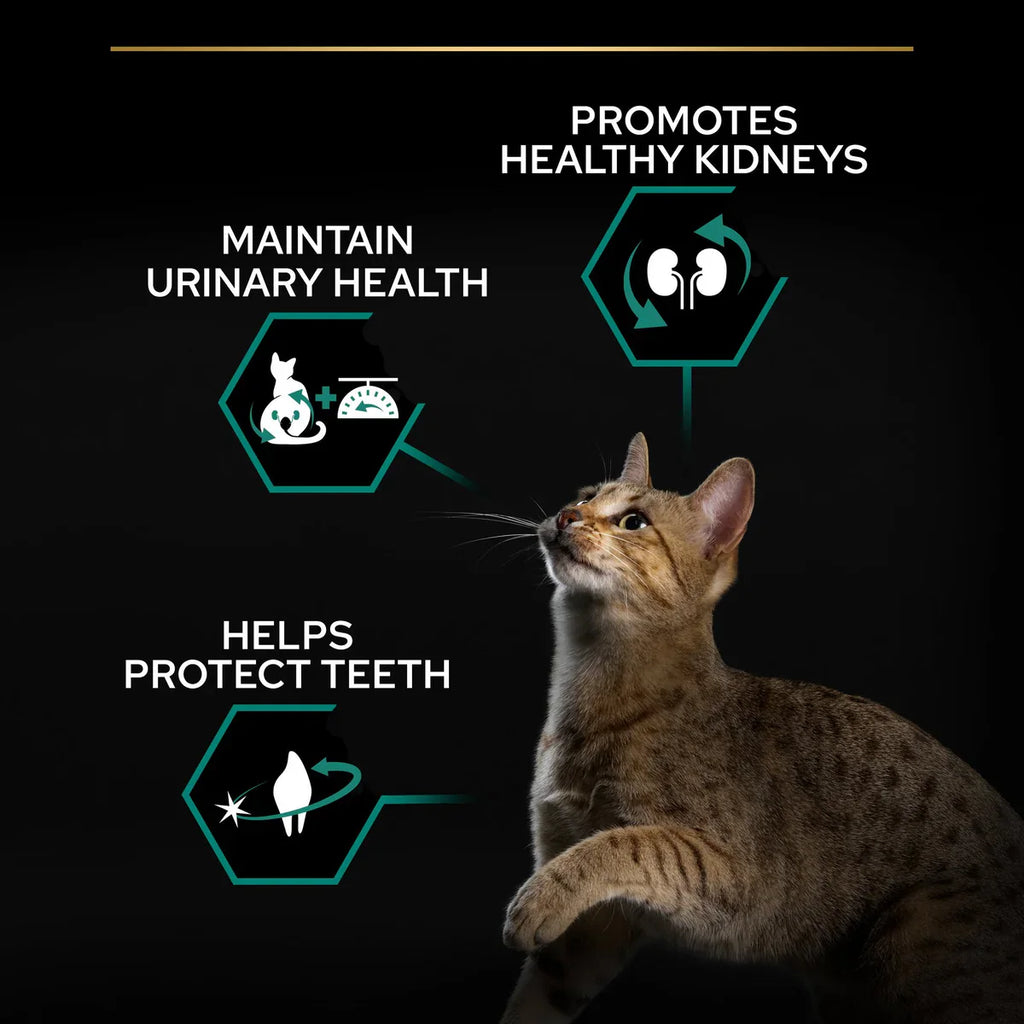 PURINA ® PRO PLAN ® للقطط المعقمة البالغة 1+ سنة غني بالديك الرومي - 400 جرام