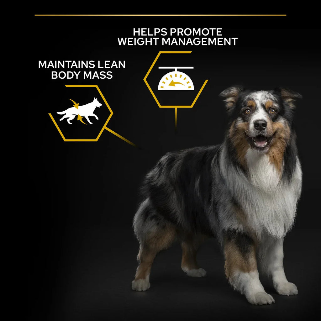 طعام بورينا برو بلان® للكلاب الجافة لجميع الأحجام البالغة قليلة الدسم/ المعقمة بـ OPTIWEIGHT® الغنية بالدجاج