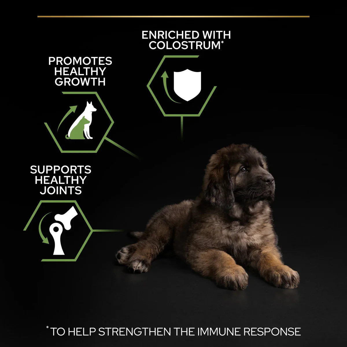 PURINA® PRO PLAN® Large Robust Puppy with OPTISTART® Rich in Chicken Dry Food