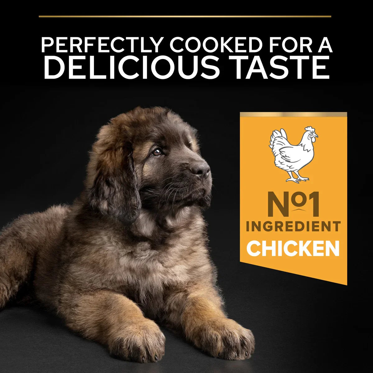 PURINA® PRO PLAN® Large Robust Puppy with OPTISTART® Rich in Chicken Dry Food