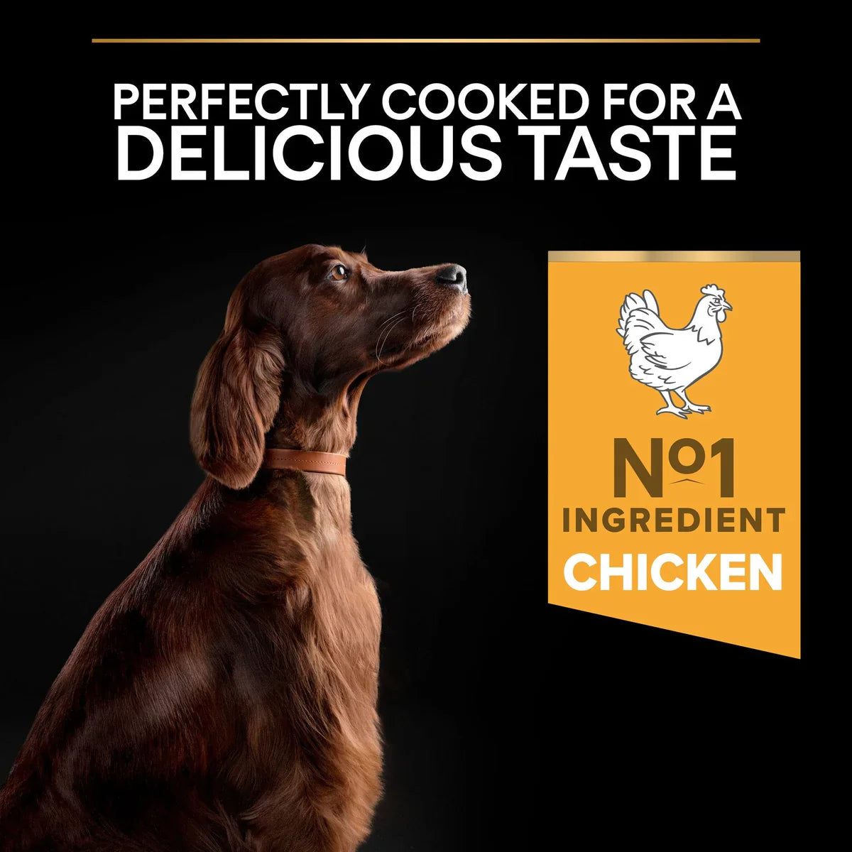 PURINA® PRO PLAN® Large Athletic OPTIBALANCE® Dry Dog Food Rich in Chicken - 14kG