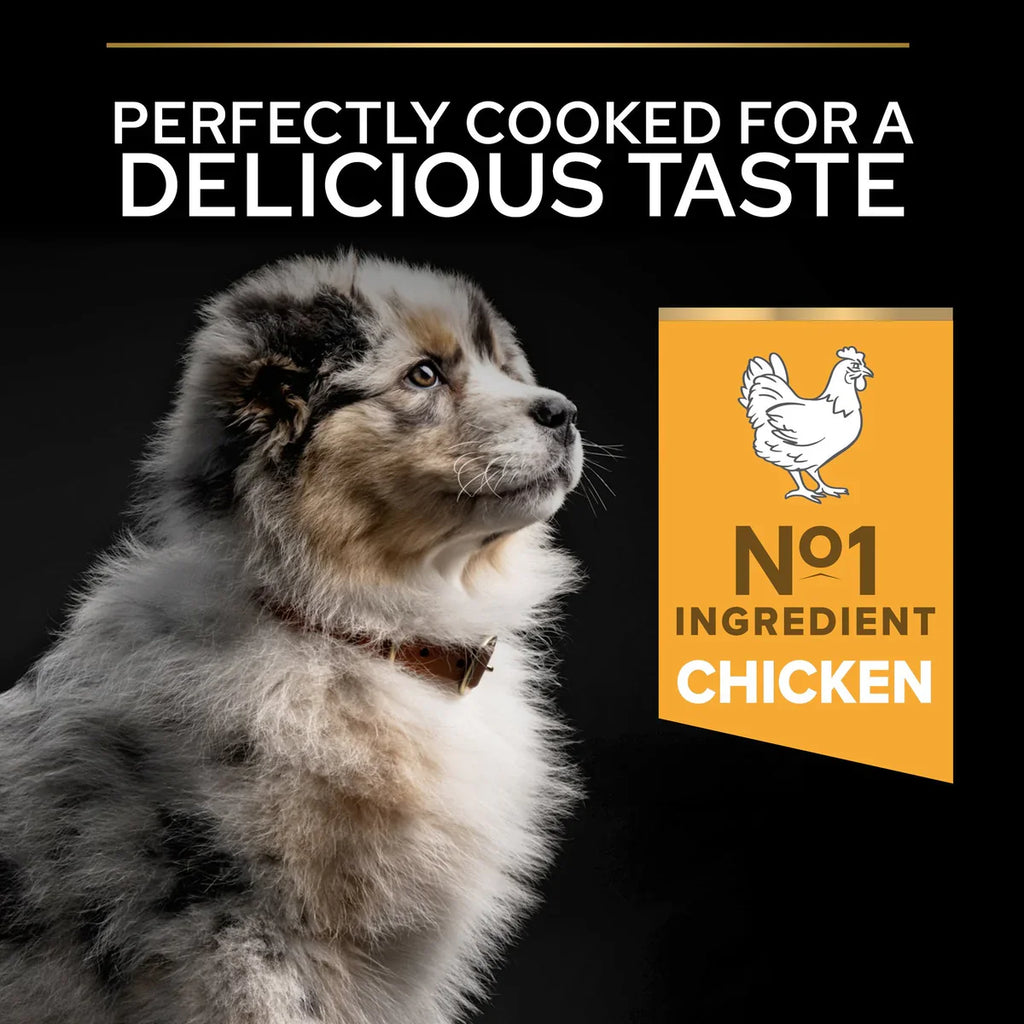 PURINA PRO PLAN Medium Puppy with OPTISTART Rich in Chicken Dry Food