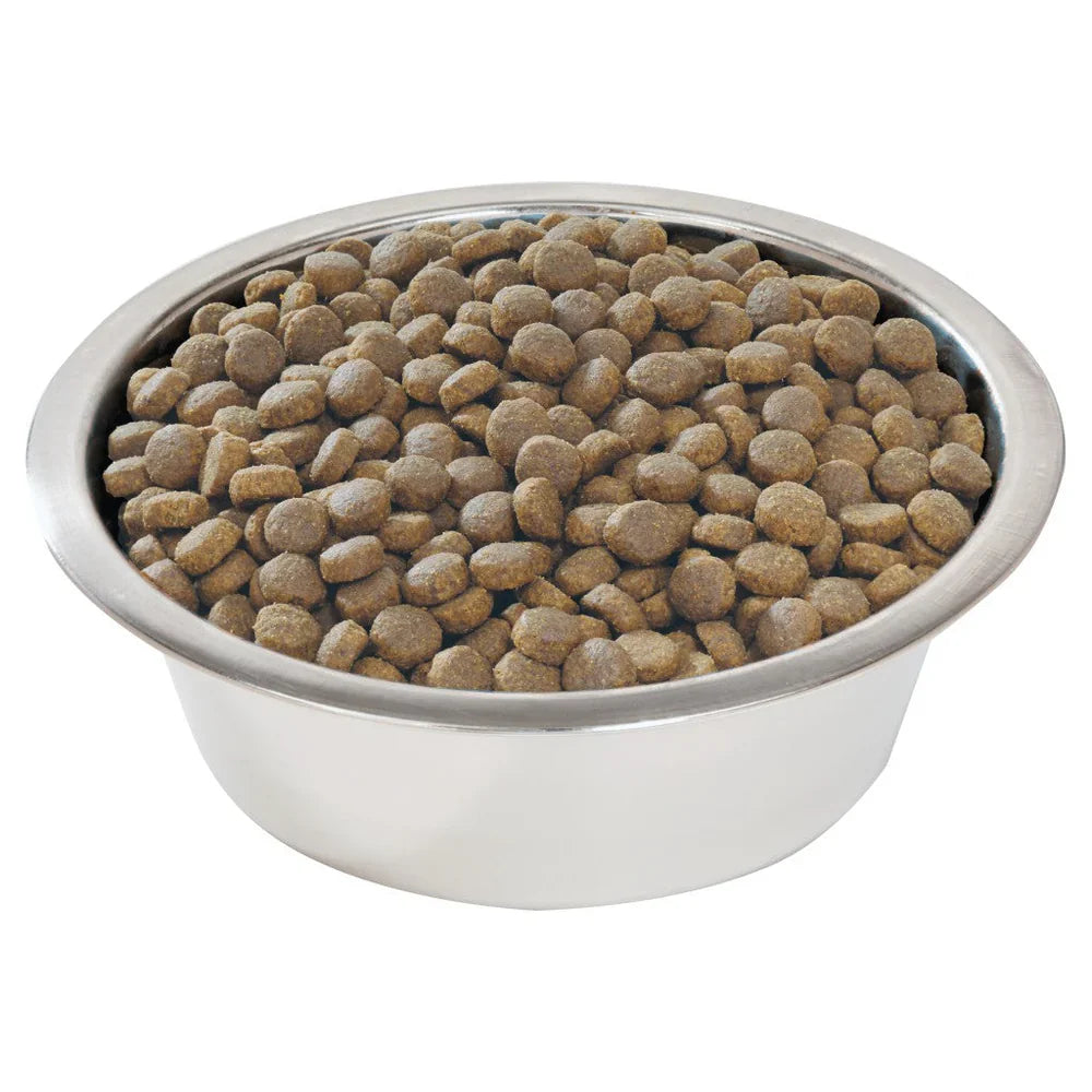 PURINA® PRO PLAN® Large Robust Puppy with OPTISTART® Rich in Chicken Dry Food