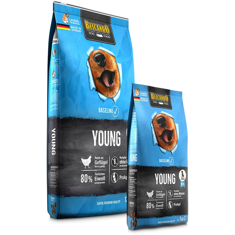 Belcando Baseline Young Junior Dogs