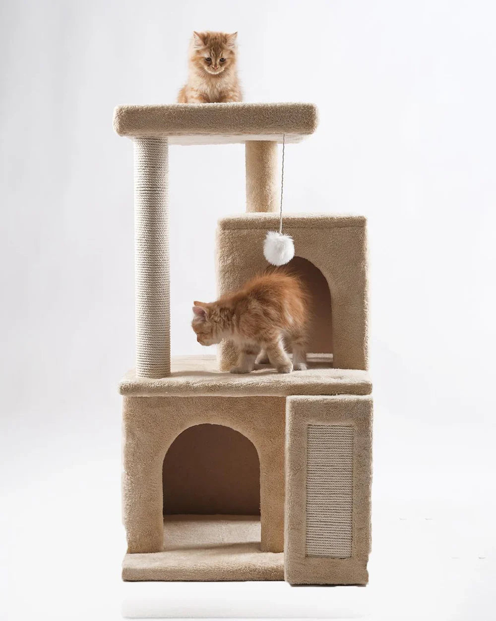Cat house 10025 scratch