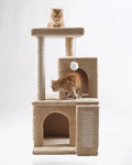 Cat house 10025 scratch