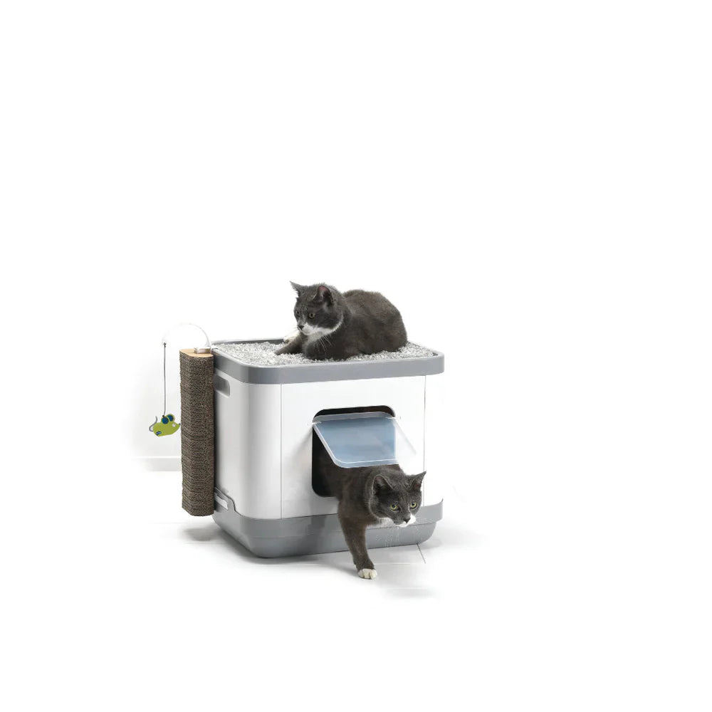 Closed Litter Boxes Cat Concept With Cushion & Scratcher