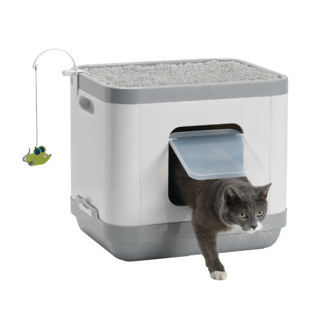 Closed Litter Boxes Cat Concept With Cushion & Scratcher