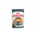 Royal Canin Intense Beauty in Jelly (85gm\Pouch) - Wet food for Adult cats - supports a healthy skin and shiny coat