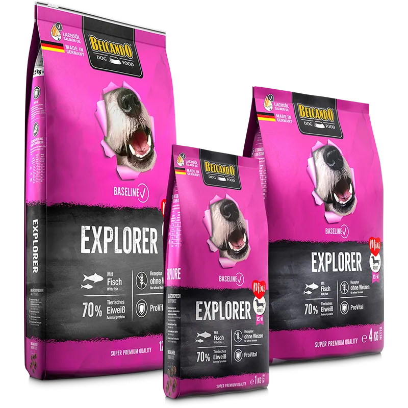 Belcando Baseline Explorer Adult Dogs