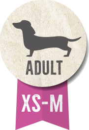 Belcando Baseline Explorer Adult Dogs