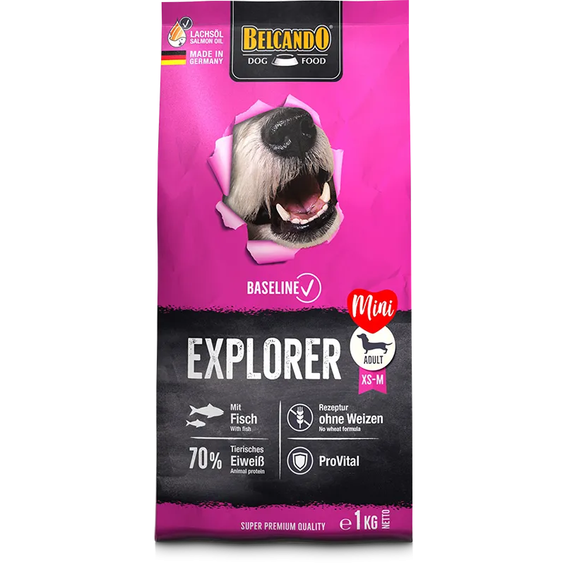 Belcando Baseline Explorer Adult Dogs