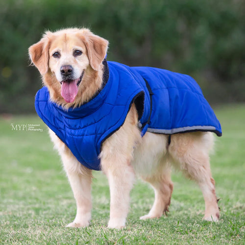 Blue Waterproof Coat