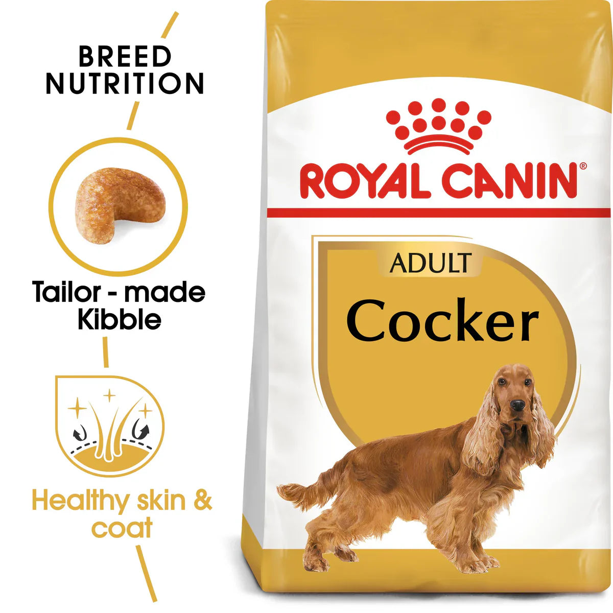 Royal Canin Cocker Adult (3 KG) - Dry food for adult Cocker dogs over 12 months