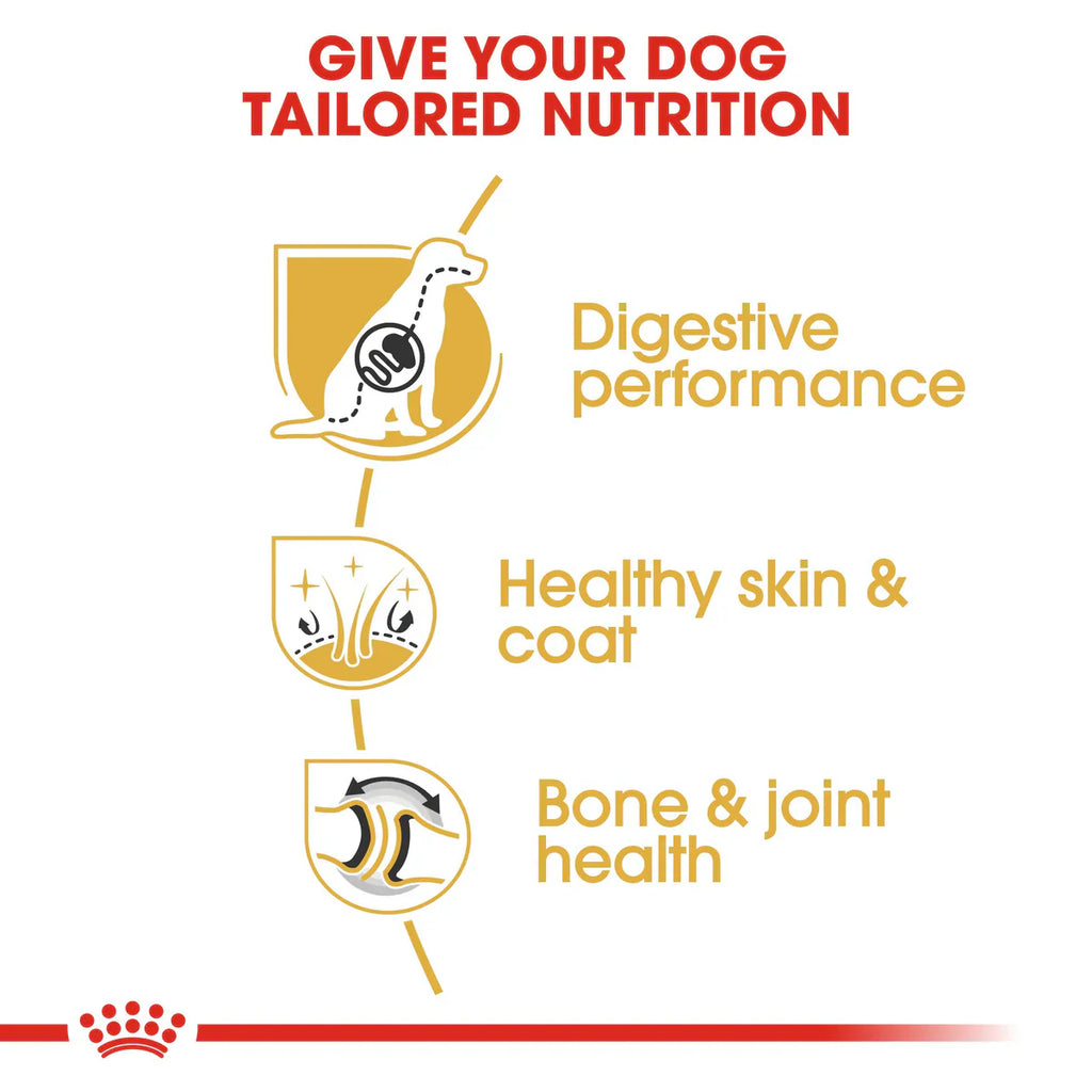 Royal Canin German Shepherd Adult - Dry food for adult dogs over 15 months