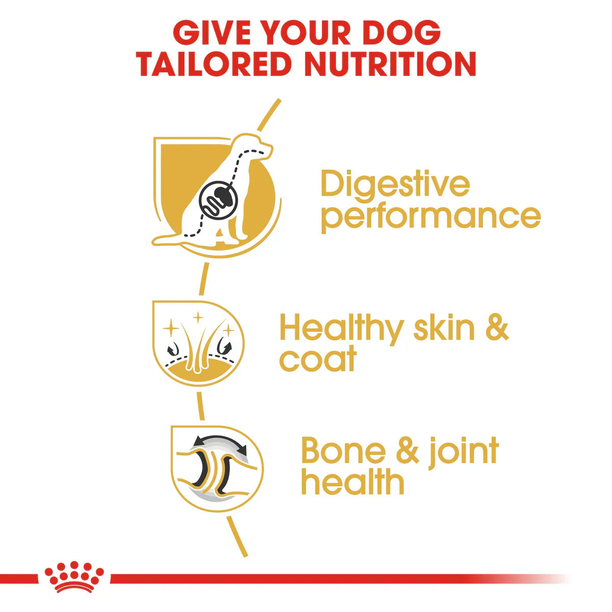 Royal Canin German Shepherd Adult - Dry food for adult dogs over 15 months