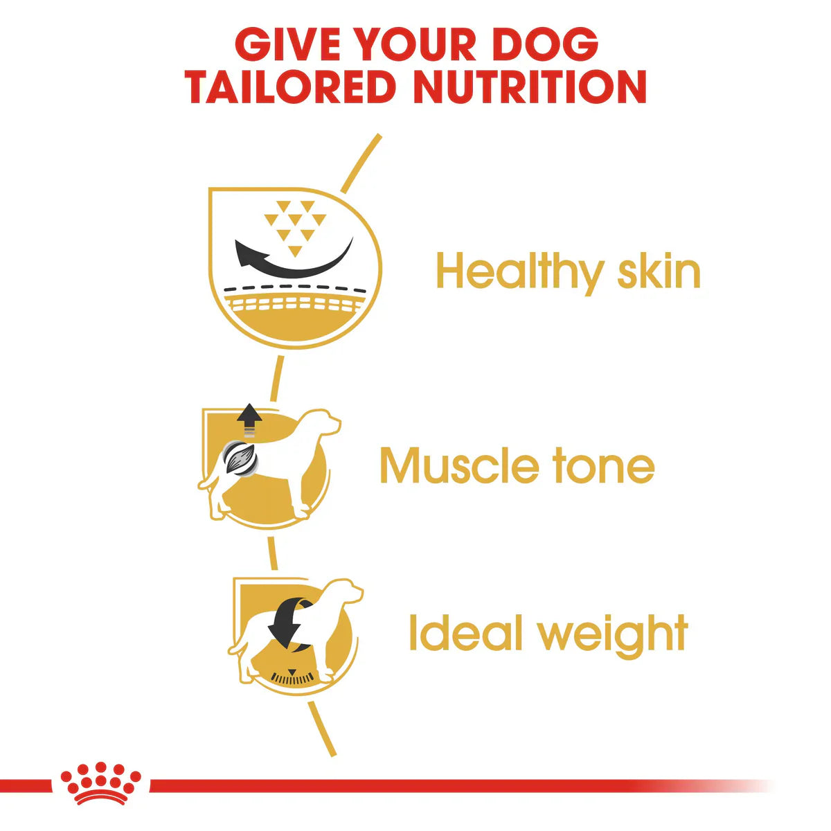 Royal Canin Pug Adult (1.5KG) - Dry food for adult dogs over 10 months old