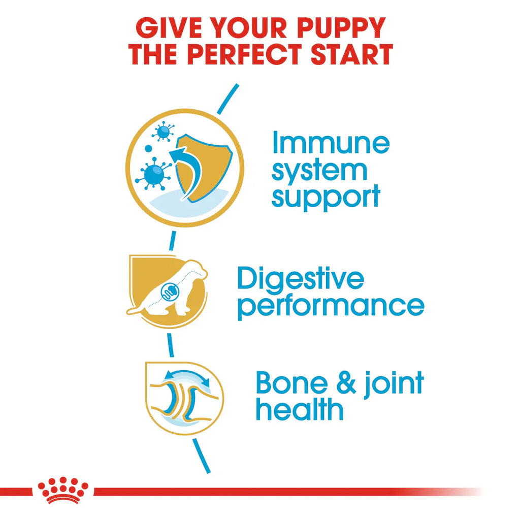 Royal Canin German Shepherd Puppy (3 KG) - Dry food for puppies up to 15 months
