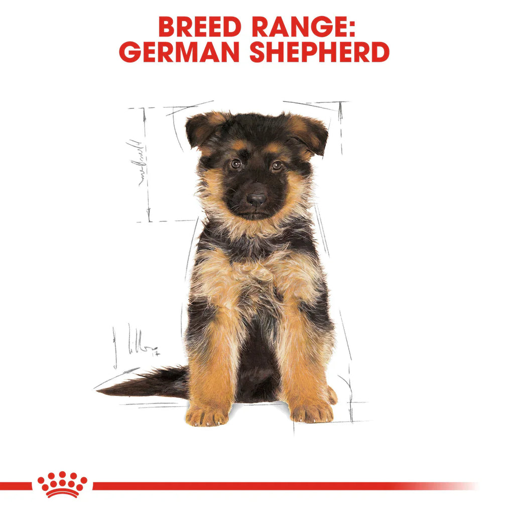 Royal Canin German Shepherd Puppy (3 KG) - Dry food for puppies up to 15 months