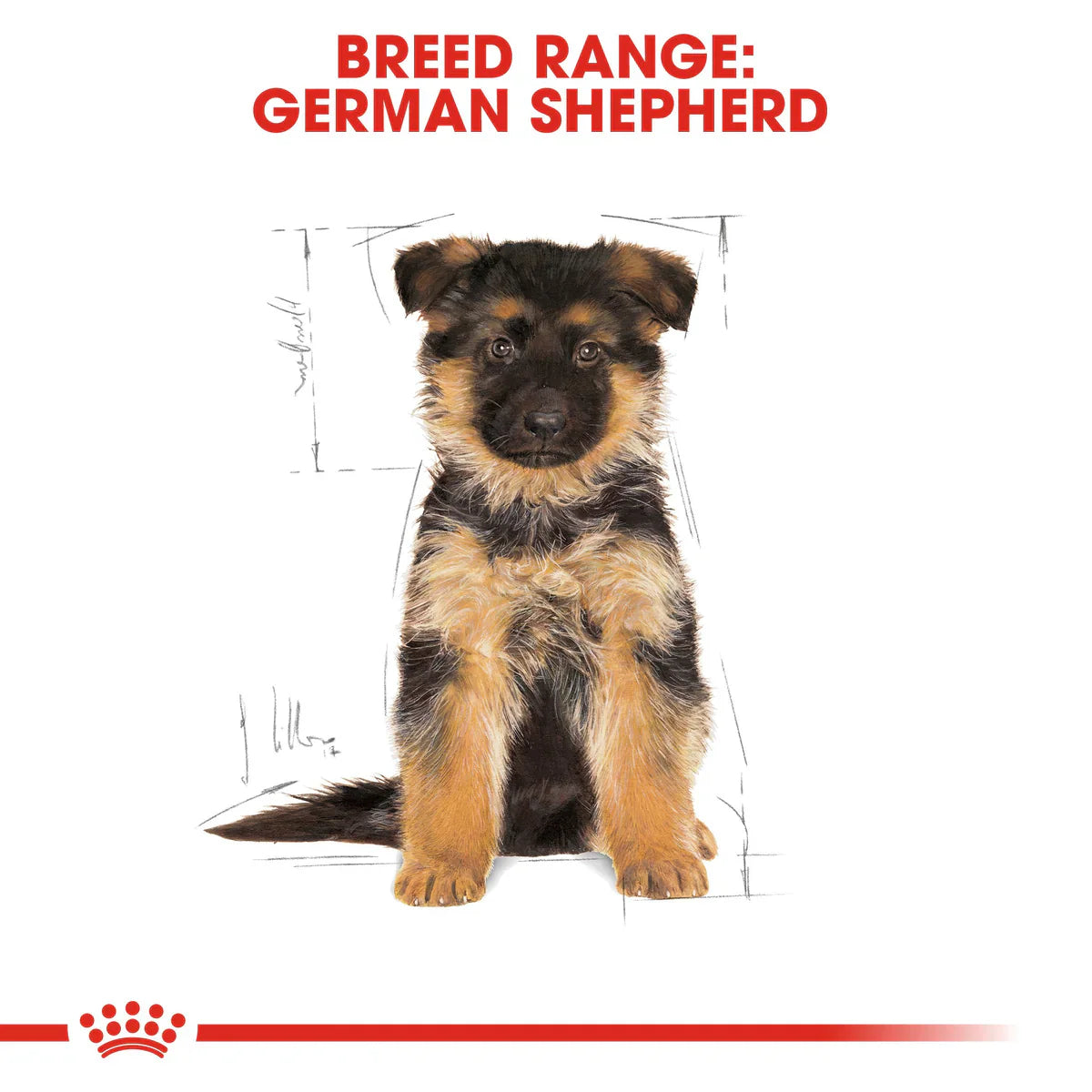 Royal Canin German Shepherd Puppy (3 KG) - Dry food for puppies up to 15 months