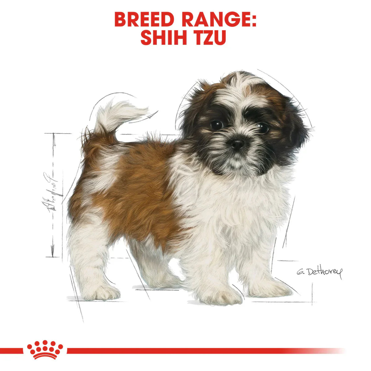 Royal Canin Shih Tzu Puppy (1.5 KG) - Dry food for puppies up to 10 months old