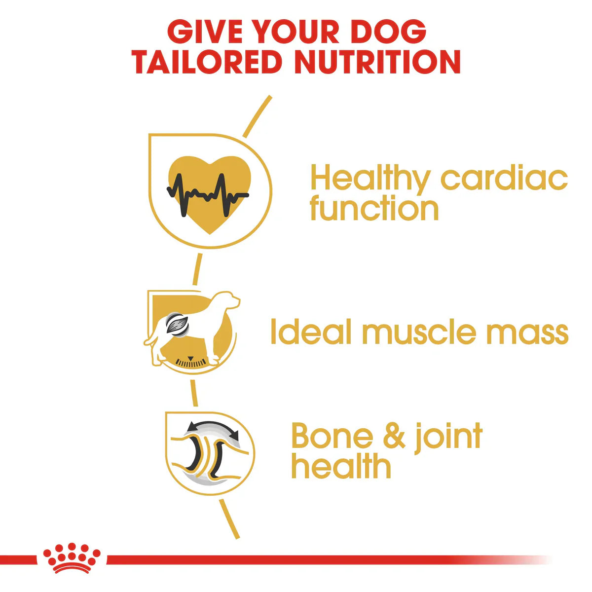 Royal Canin Rottweiler Adult (17 KG) - Dry food for adult dogs over 18 months