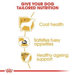 Royal Canin Yorkshire Terrier Adult (1.5 KG) - Dry food for adult dogs over 10 month