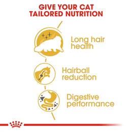 Royal Canin Persian Adult - Over 12 months