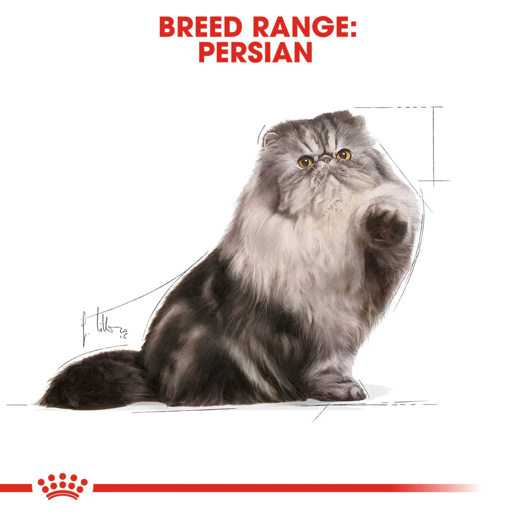 Royal Canin Persian Adult (85 gm\Pouch) - Wet food for adult Persian cat - over 12 months