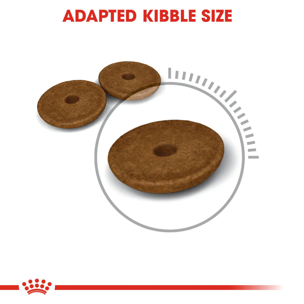 Royal Canin - Digestive Care Dry food - Adult Cats - Helps Support Healthy Digestion
