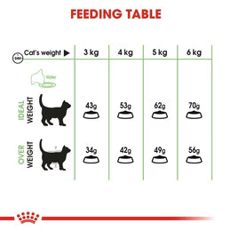 Royal Canin - Digestive Care Dry food - Adult Cats - Helps Support Healthy Digestion