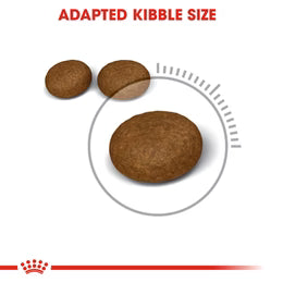 Royal Canin Hair & Skin Care Dry food for adult cats
