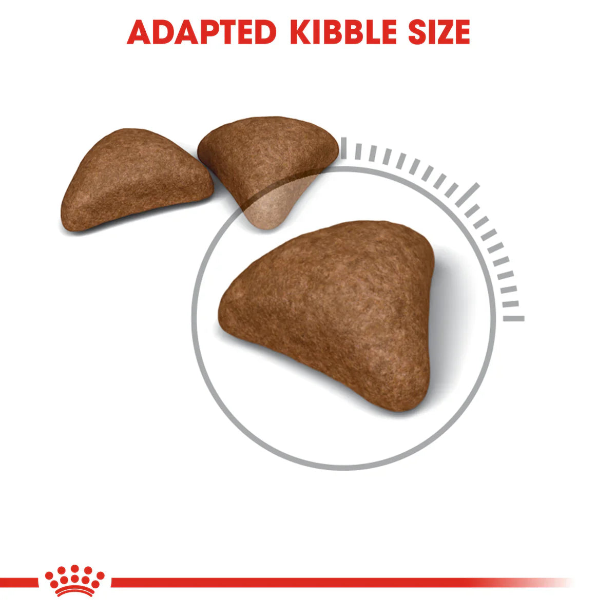 Royal Canin Hairball care - Dry food for adult cats - helps reduce hairball formation