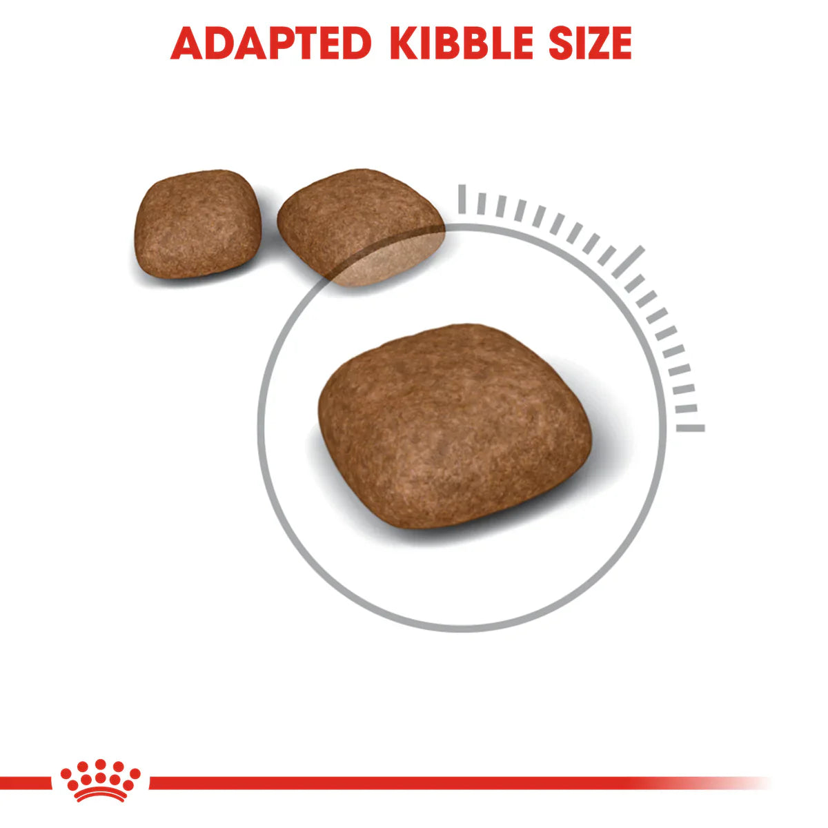 Royal Canin Urinary care - Dry food for adult cats - Helps maintain urinary tract health