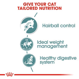 Royal Canin Hairball care (85gm\ Pouch) - Wet food for adult cats - Helps reduce hairball formation