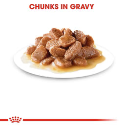 Royal Canin Hairball care (85gm\ Pouch) - Wet food for adult cats - Helps reduce hairball formation