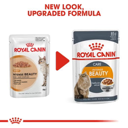 Royal Canin Intense Beauty in Gravy (85 gm\Pouch) - Wet food for adult cats - supports a healthy skin and shiny coat
