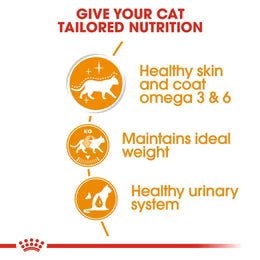 Royal Canin Intense Beauty in Gravy (85 gm\Pouch) - Wet food for adult cats - supports a healthy skin and shiny coat