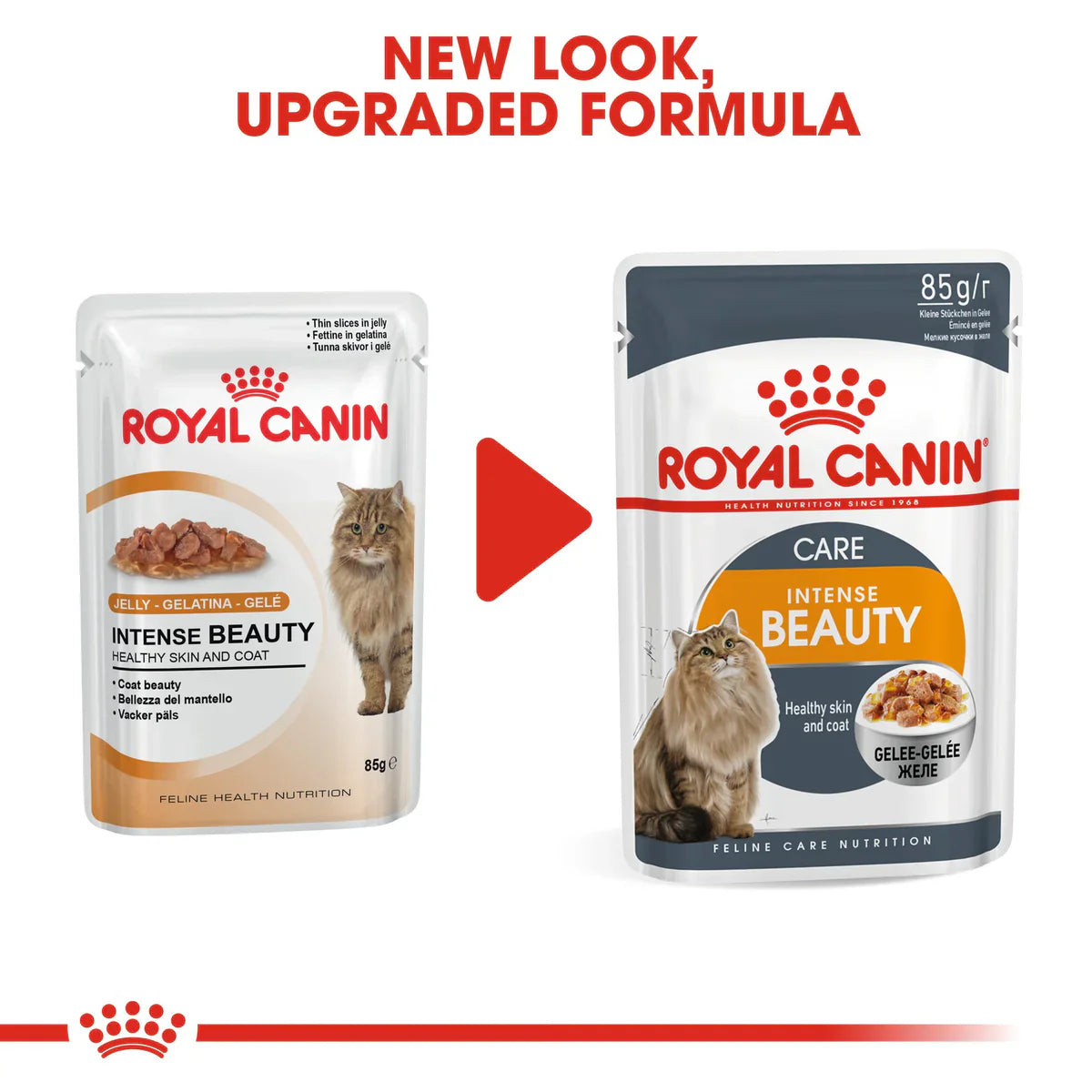 Royal Canin Intense Beauty in Jelly (85gm\Pouch) - Wet food for Adult cats - supports a healthy skin and shiny coat