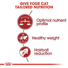 Royal Canin Fit 32 Dry food for cats