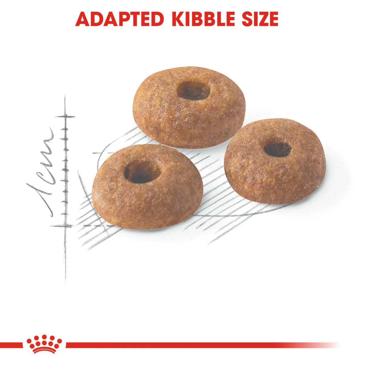 Royal Canin Fit 32 Dry food for cats