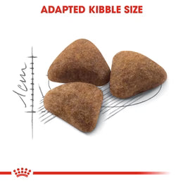 Royal Canin Indoor27 - Dry food for indoor adult cats