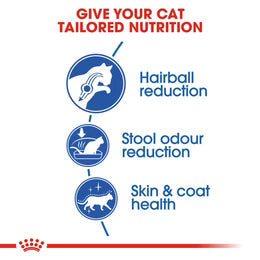 Royal Canin Indoor Long Hair - Dry Food for Indoor long-haired cats